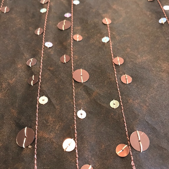 Max Studio Silk Skirt w/Vertical Sequins & Stitch - Picture 2 of 7